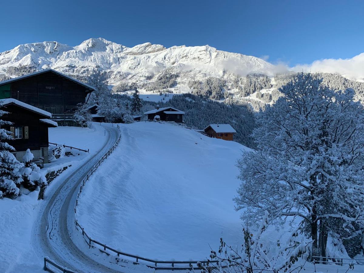 Chalet Schiltwald Innerwengen Exterior foto
