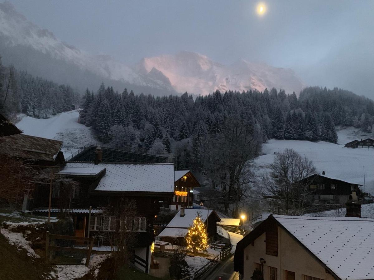 Chalet Schiltwald Innerwengen Exterior foto
