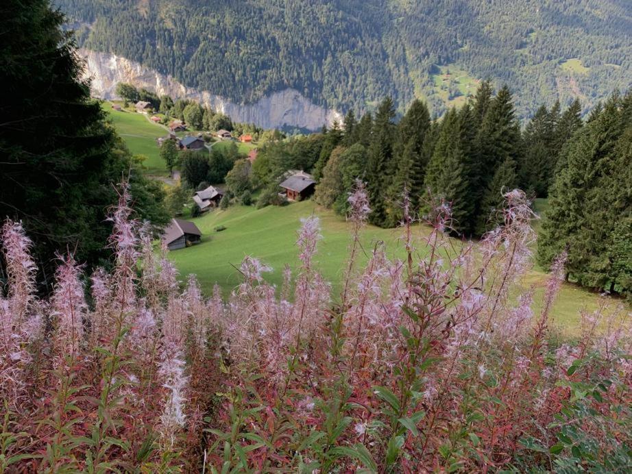 Chalet Schiltwald Innerwengen Exterior foto